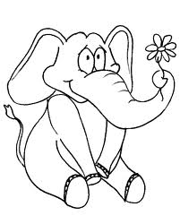 Elephant 9